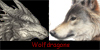 Wolfdragons's avatar