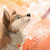 Wolfgardians :iconwolfgardians: