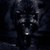 WolfGirl952 :iconwolfgirl952: