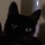 wolflover1214 :iconwolflover1214:
