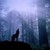 Wolfy4 :iconwolfy4: