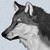 :iconwolphin5: