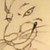 wolvesrule1243 :iconwolvesrule1243:
