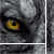 Wolvyqueen :iconwolvyqueen:
