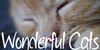 Wonderful-Cats's avatar