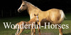 :iconwonderful-horses: