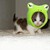 WonderWhatXP :iconwonderwhatxp: