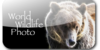 WorldWildlifePhoto's avatar