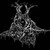 Wrapped-Within-Ink :iconwrapped-within-ink: