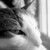WrittenLegend :iconwrittenlegend: