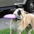 WysteriaChild :iconwysteriachild: