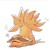Wyverntooth :iconwyverntooth: