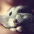 Xandex11 :iconxandex11: