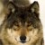 Xargon6 :iconxargon6: