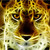 xbalanque75 :iconxbalanque75: