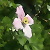 xingax :iconxingax: