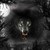 xMidnightxWolf :iconxmidnightxwolf: