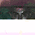 xtreme-magic :iconxtreme-magic: