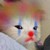 xvulpecula :iconxvulpecula: