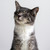 Xxaanna :iconxxaanna: