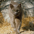 xxCinderFrostxx :iconxxcinderfrostxx:
