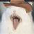 xXCorruptedBlueXx :iconxxcorruptedbluexx:
