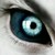 xXFreeCoyoteXx :iconxxfreecoyotexx:
