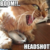 xXGreenWolvesXx :iconxxgreenwolvesxx: