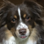 xXK-9Xx :iconxxk-9xx: