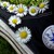 xXSceneStyleXx :iconxxscenestylexx: