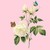 xxSilver-Beta-Wolfxx :iconxxsilver-beta-wolfxx: