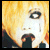 xxtruthxliesxx :iconxxtruthxliesxx: