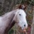 xXVanilla-TwilightXx :iconxxvanilla-twilightxx: