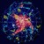 Xzocka :iconxzocka:
