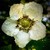 ycrad64 :iconycrad64: