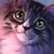 Ycraine :iconycraine: