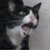 yeetthebaby :iconyeetthebaby: