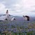 Yelsel-Nna :iconyelsel-nna:
