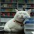 yeyuxingchen :iconyeyuxingchen:
