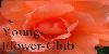 :iconyoung-flower-club: