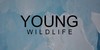 Young-Wildlife's avatar