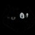 :iconyourthecuttestfoxes: