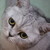 Yu-Feather :iconyu-feather: