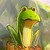 yudaofeng :iconyudaofeng: