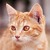 Yukips :iconyukips: