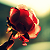 yunravensyen :iconyunravensyen: