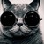 Zachwalls :iconzachwalls: