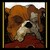 :iconzdxstuff: