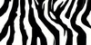 Zebra-Fan-Club's avatar