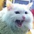 :iconzhangx: